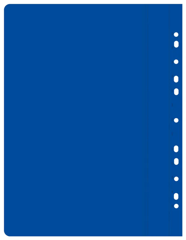 Папка-скоросшиватель Бюрократ -PS10BLUE A4 10 вкладышей боков.перф. пластик синий 0.12/0.16