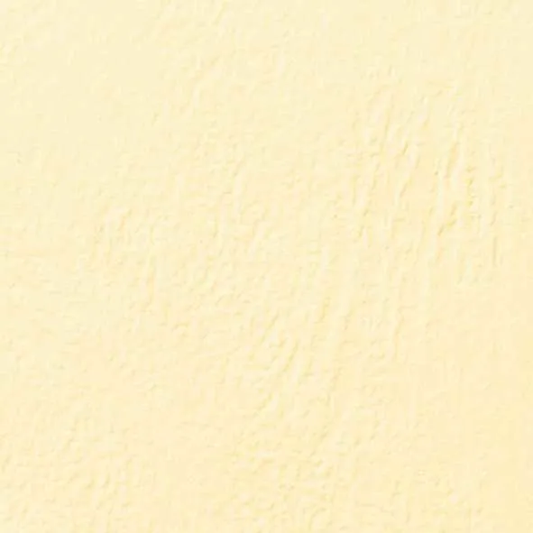 Обложки для переплёта GBC A4 250г/м2 слоновая кость (100шт) LeatherGrain (CE040065)