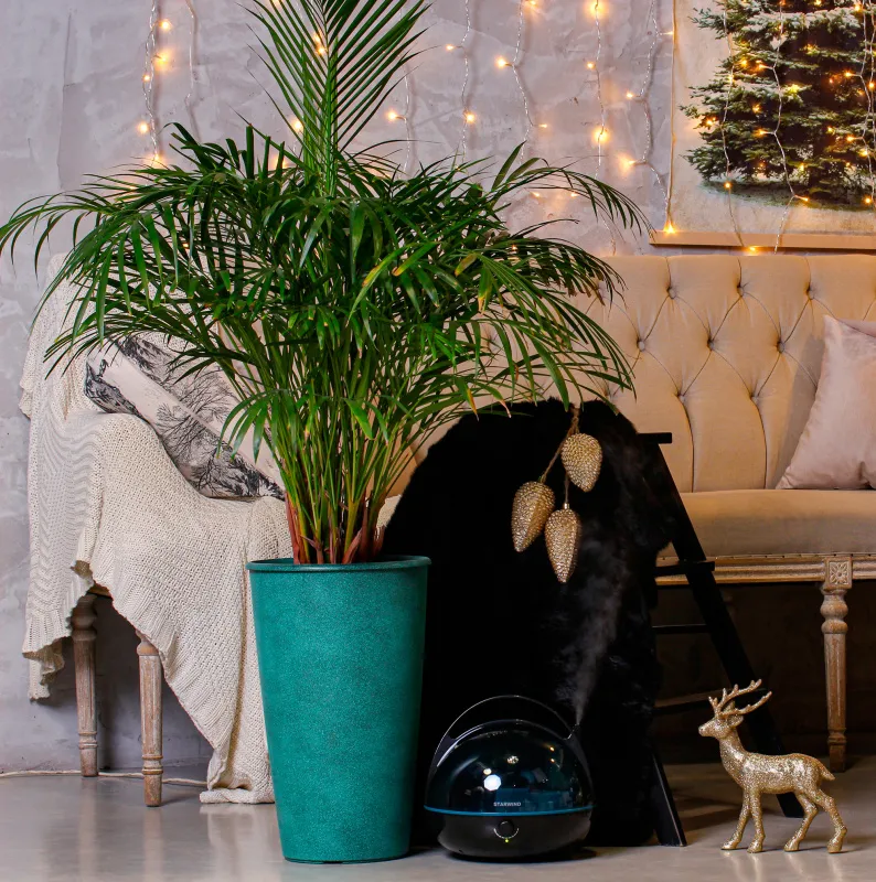 Увлажнитель воздуха Starwind SHC3416 25Вт (ультразвуковой) коричневый/синий