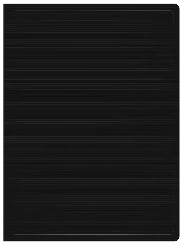 Папка с 20 прозр.вклад. Бюрократ DeLuxe DLV20BLCK A4 пластик 0.7мм черный