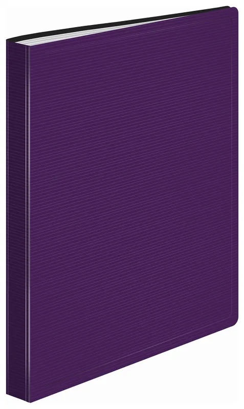 Папка с 100 прозр.вклад. Бюрократ DeLuxe DLVBOX100BBERRY A4 пластик 0.7мм черничный в коробе