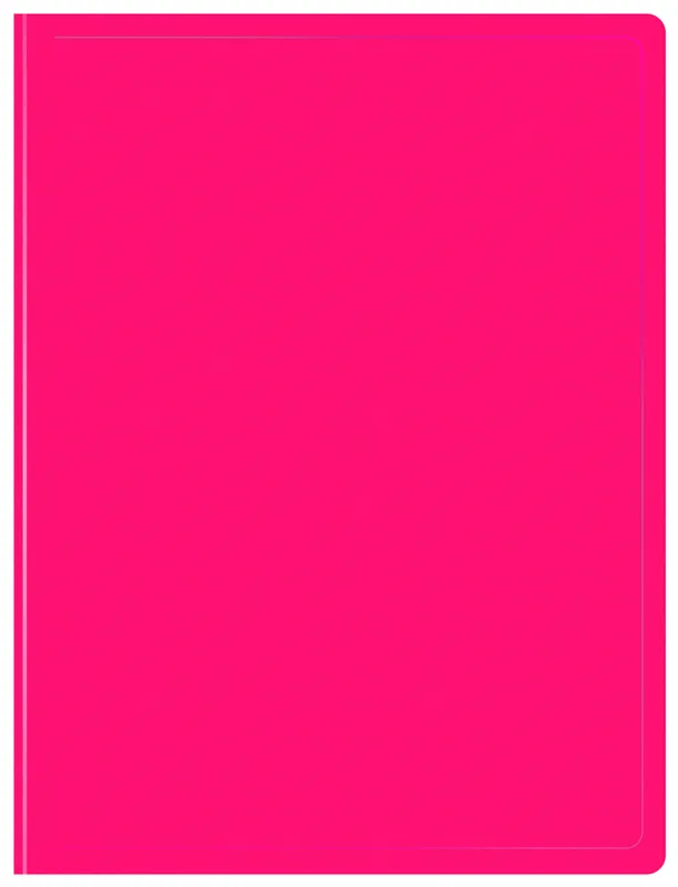 Папка с 30 прозр.вклад. Бюрократ Double Neon DNE07V30PINK A4 пластик 0.7мм розовый