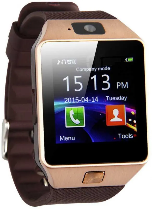 Смарт-часы Smarterra Chronos X 1.54" TFT золото розовое (SM-UC101LRG)