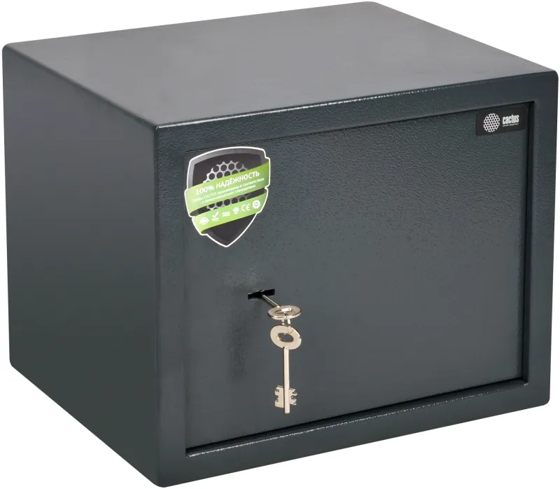 Сейф мебельный Cactus CS-SF-K30 300x380x300мм ключевой