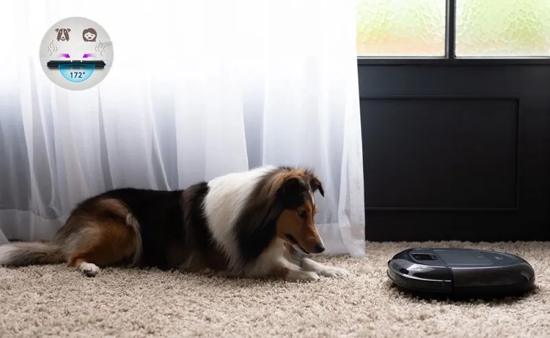 Пылесос-робот iClebo O5 WiFi черный