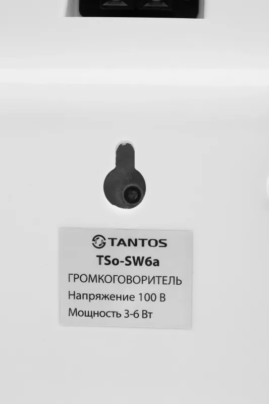 Громкоговоритель Tantos TSo-SW6a настенный 6Вт белый (00-00025704)