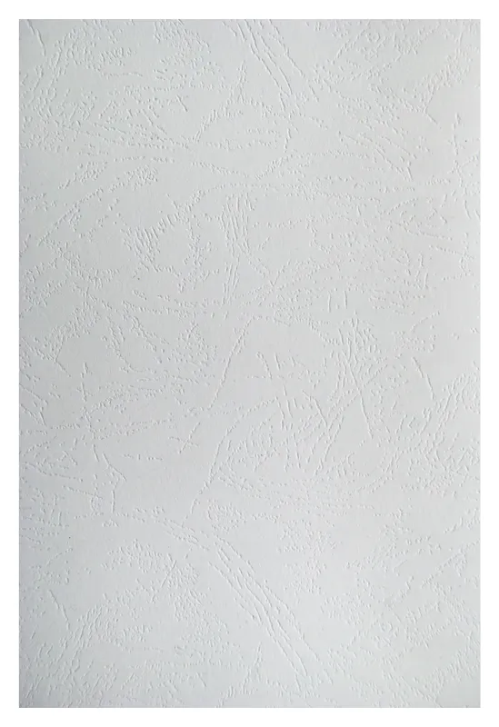 Обложки для переплёта Silwerhof A4 230г/м2 белый (100шт) (1449325)