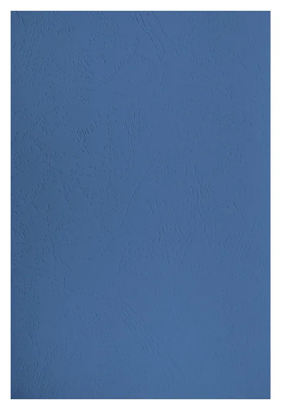 Обложки для переплёта Silwerhof A4 230г/м2 синий (100шт) (1449337)