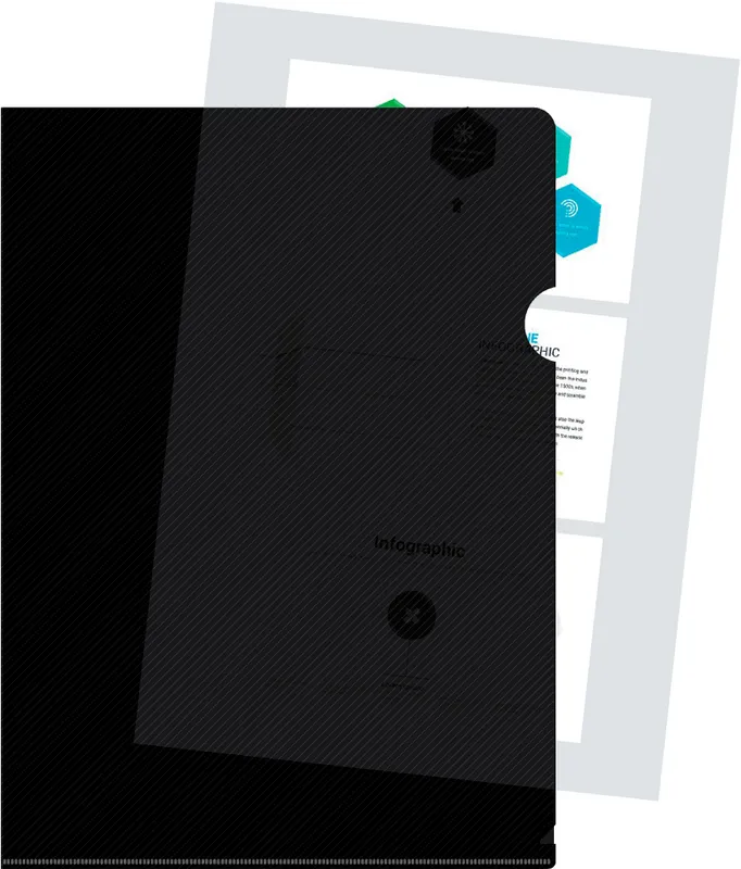 Папка-уголок Бюрократ DeLuxe DLCBLCK A4 пластик 0.18мм черный