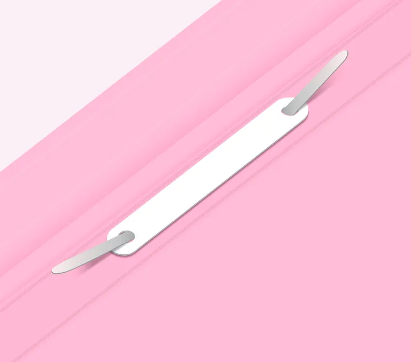 Папка-скоросшиватель Бюрократ Pastel -PSLPAST/PINK A4 прозрач.верх.лист пластик розовый 0.14/0.18