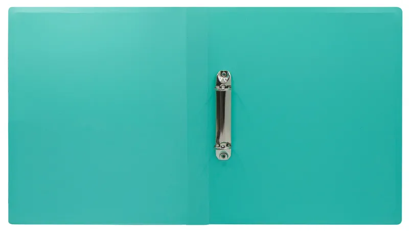 Папка на 2-х кольцах Бюрократ Pastel PAST0812/2RGRN A4 пластик 0.5мм кор.27мм торц.карм с бум. встав мятный