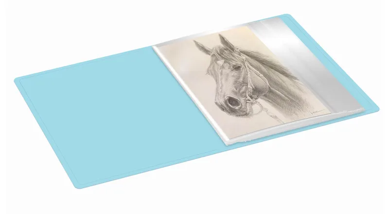Папка с 20 прозр.вклад. Бюрократ Pastel PAST20BLUE A4 пластик 0.5мм торц.карм с бум. встав голубой