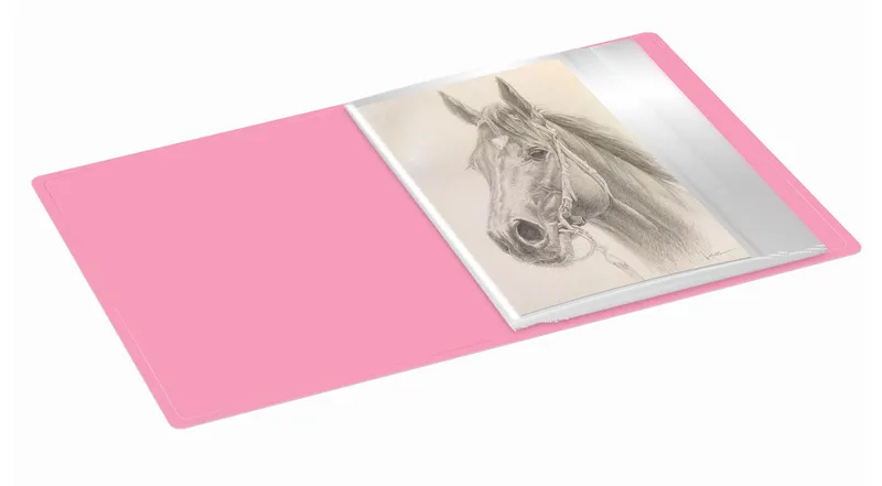 Папка с 40 прозр.вклад. Бюрократ Pastel PAST40PINK A4 пластик 0.5мм торц.карм с бум. встав розовый