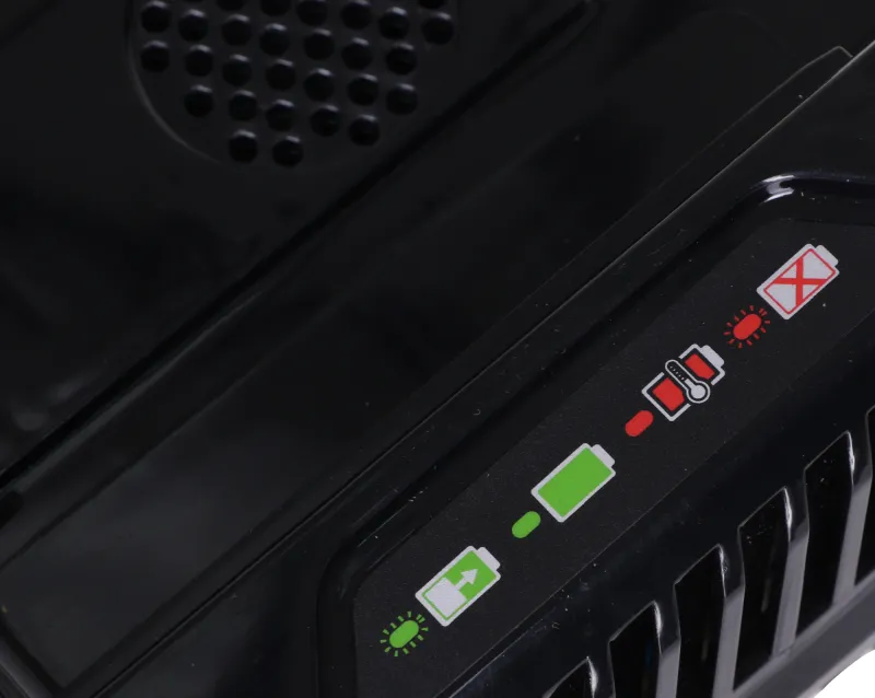 Зарядное устройство Greenworks GC82C (2914707)