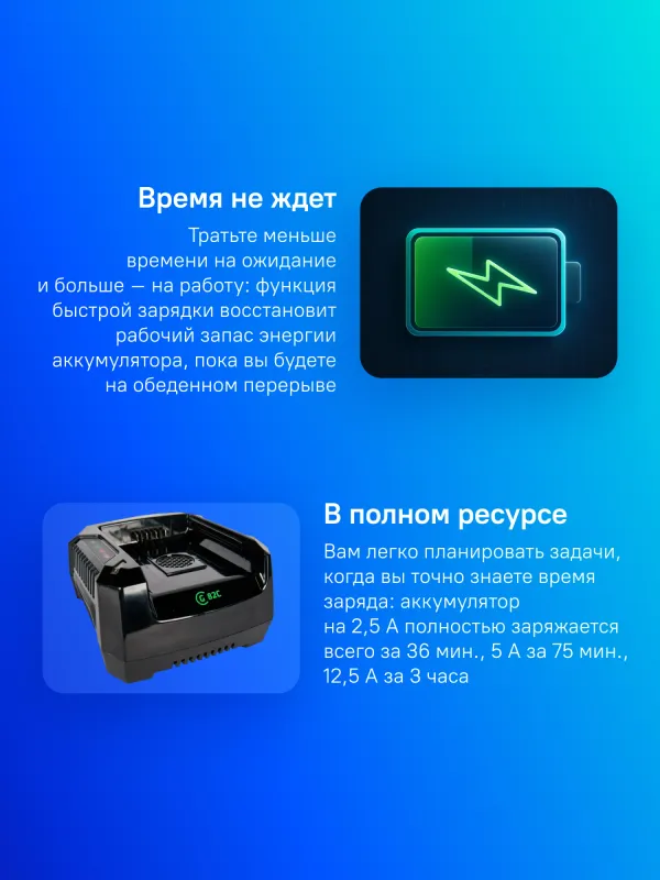 Зарядное устройство Greenworks GC82C (2914707)