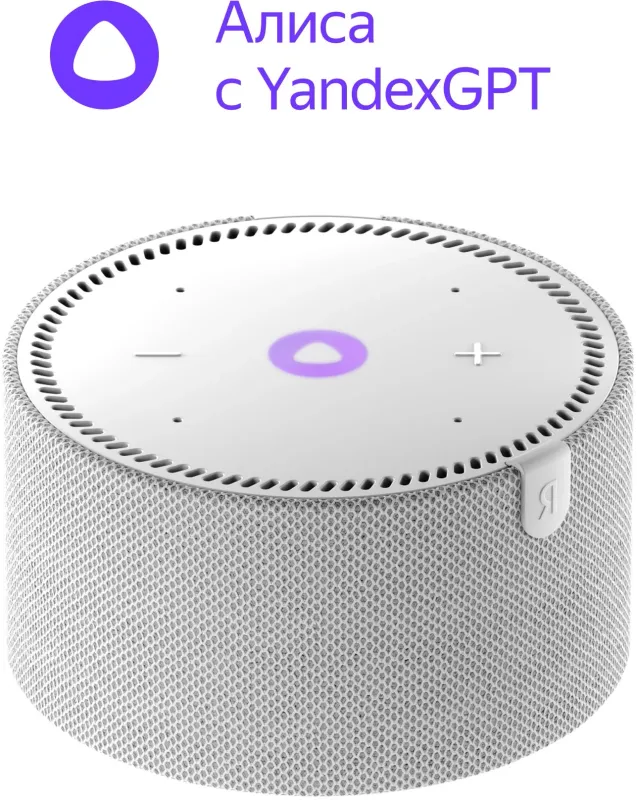 Умная колонка Yandex Станция Мини без часов Алиса серый 10W 1.0 BT 10м (YNDX-00021G)