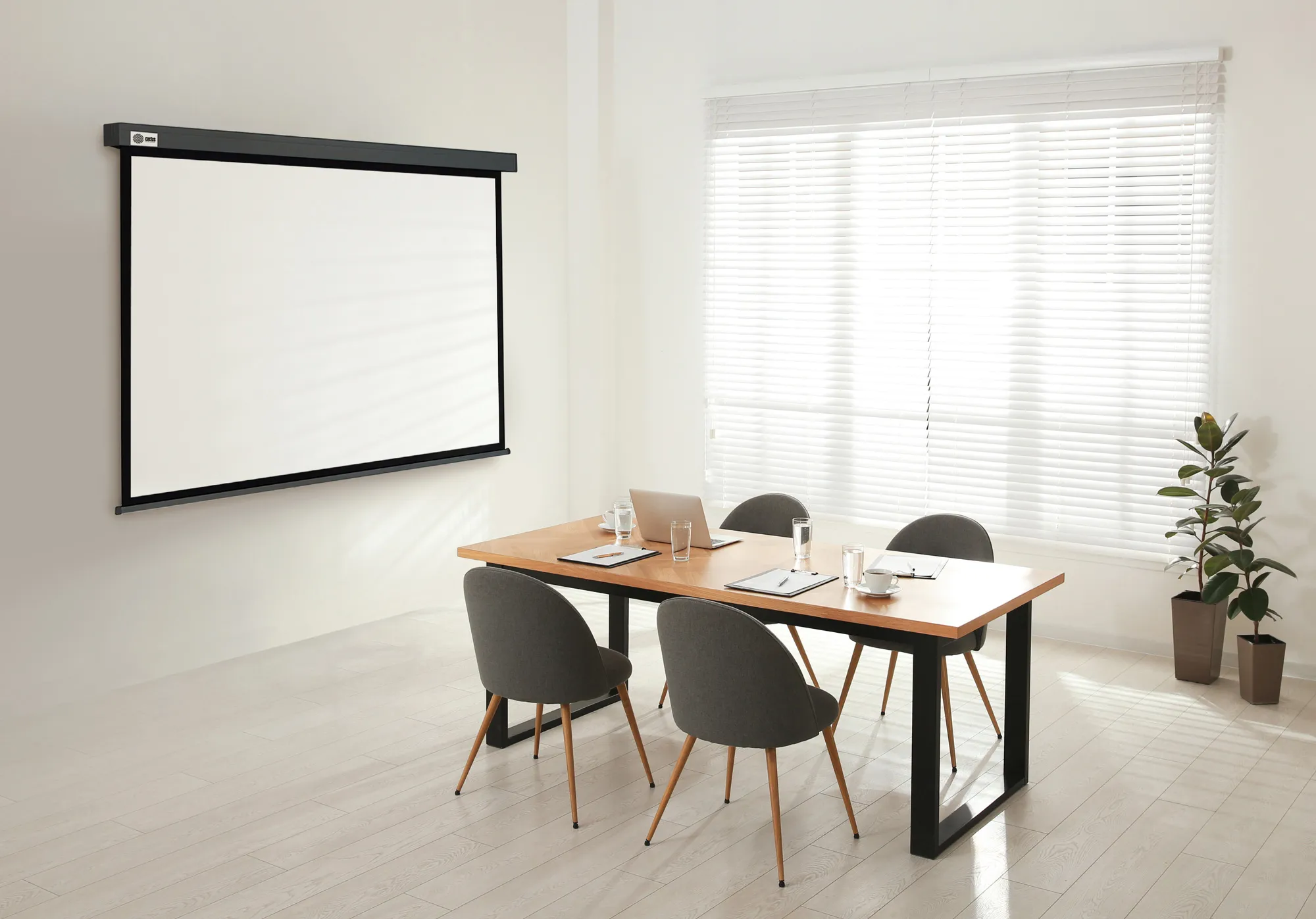 Экран Cactus 150x150см Wallscreen CS-PSW-150X150-SG 1:1 настенно-потолочный рулонный серый