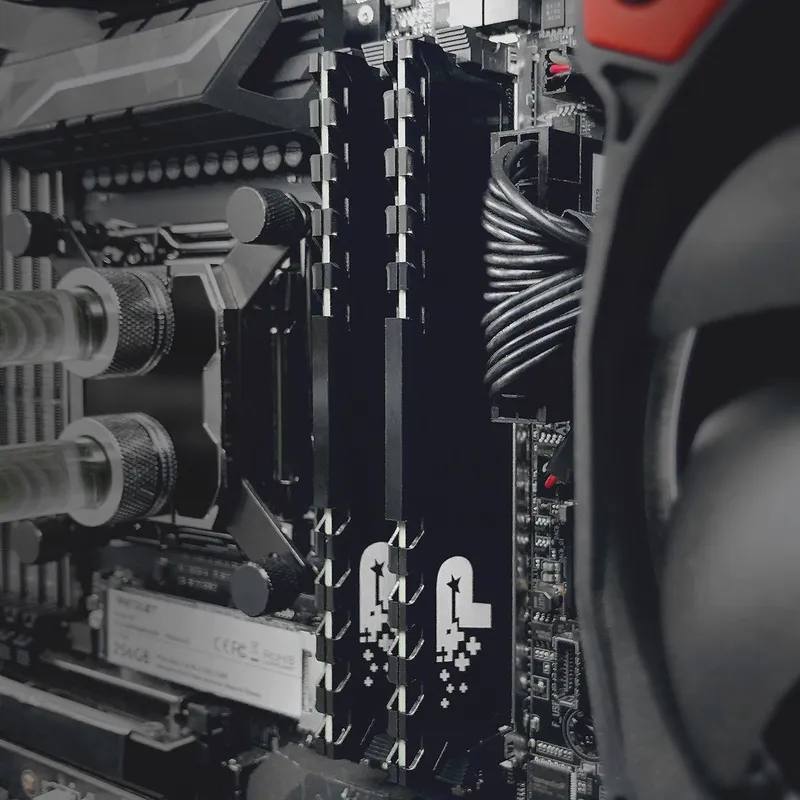 Память DDR4 16Gb 3200MHz Patriot PSP416G320081H1 Signature Premium RTL PC4-25600 CL22 DIMM 288-pin 1.2В single rank с радиатором Ret