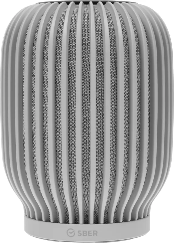 Умная колонка Sber Boom SBDV-00090 Салют серый 40W 1.0 BT/Wi-Fi (SBDV-00090S)