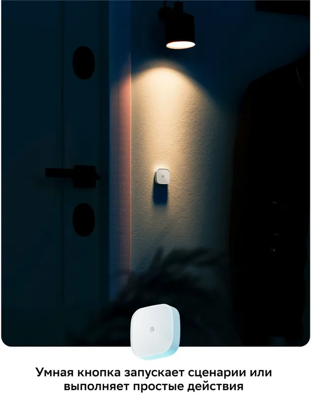 Умная кнопка Sber SBDV-00032 р.д.22м белый