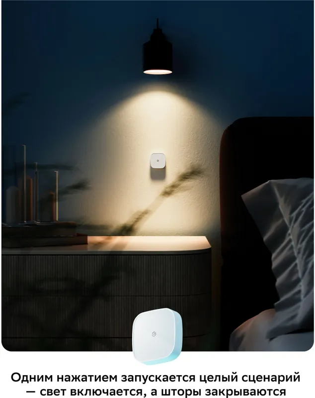 Умная кнопка Sber SBDV-00032 р.д.22м белый