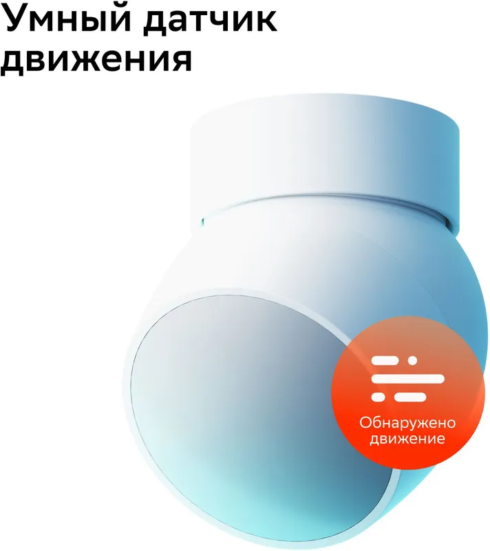 Комплект Sber SBDV-00068R