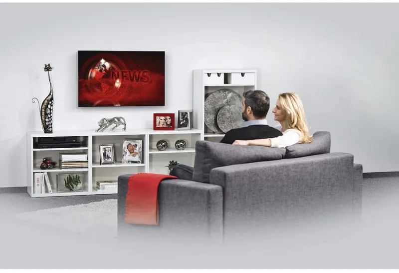 Кронштейн для телевизора Hama 00220809 черный 32"-65" макс.35кг настенный фиксированный