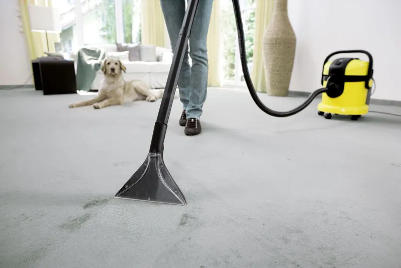 Пылесос моющий Karcher SE4001 1400Вт желтый/черный