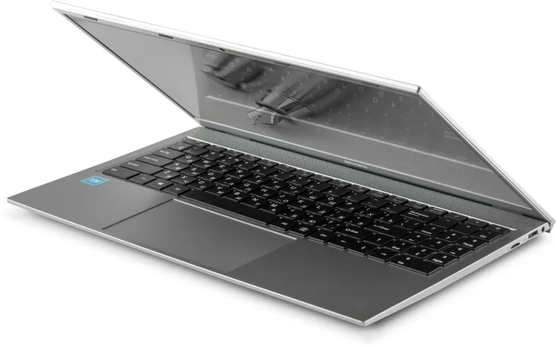 Ноутбук Echips Envy NB156A Celeron N5095 8Gb SSD240Gb Intel UHD Graphics 15.6" IPS FHD (1920x1080) Windows 11 Home grey WiFi BT Cam 4500mAh