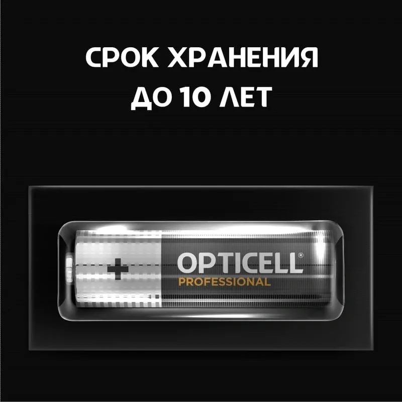 Батарея Opticell Professional LR6 AA (6шт) блистер