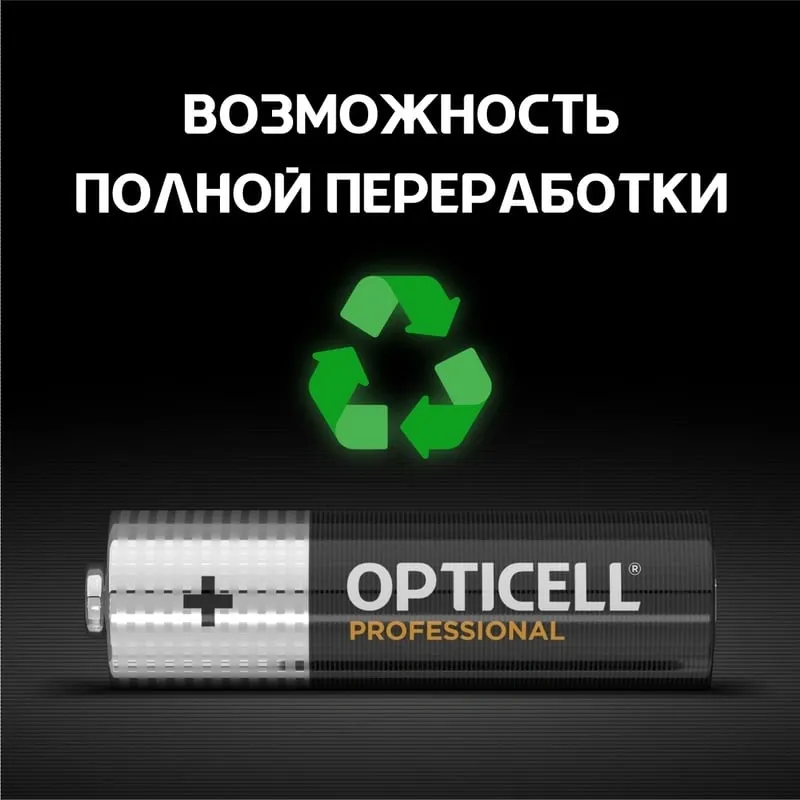Батарея Opticell Professional LR6 AA (6шт) блистер