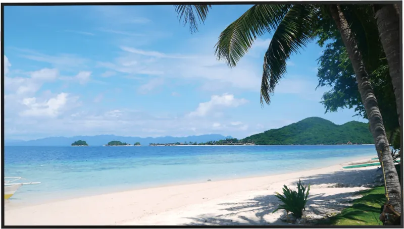 Монитор Dahua DHI-LM49-S400 49" 3840x2160