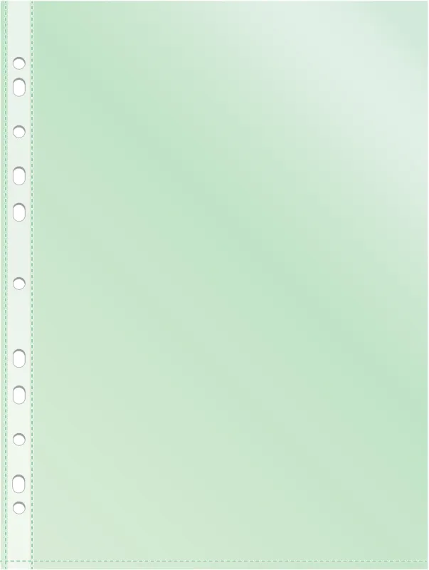 Папка-вкладыш Silwerhof Daily зеленый глянцевые A4+ 30мкм (упак.:50шт)