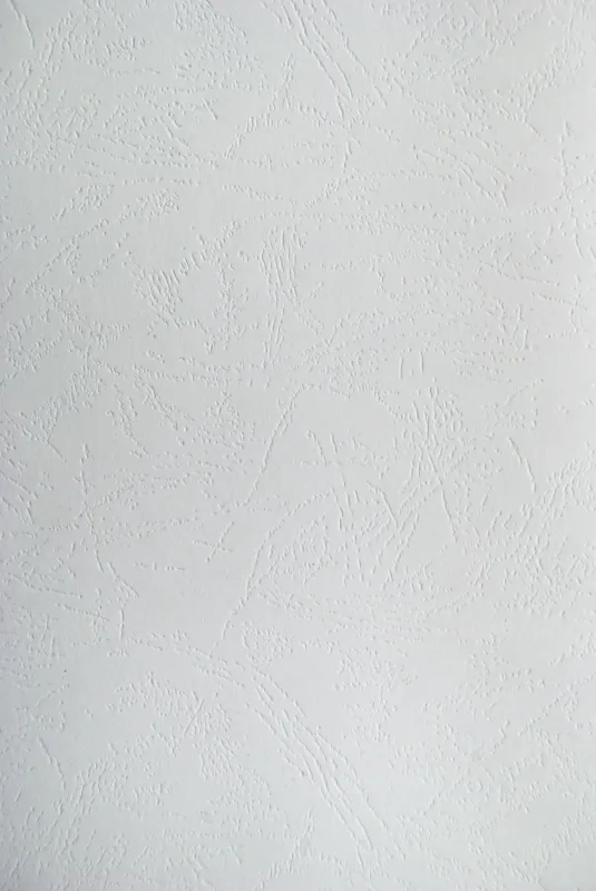 Обложки для переплёта Silwerhof Daily A4 230г/м2 белый (100шт)