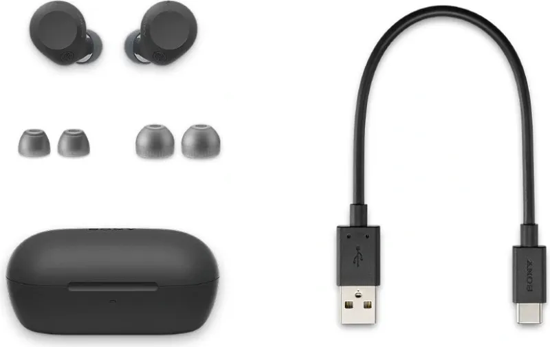 Гарнитура внутриканальные Sony WF-C710N черный беспроводные bluetooth в ушной раковине (WF-C710N/BZ E)