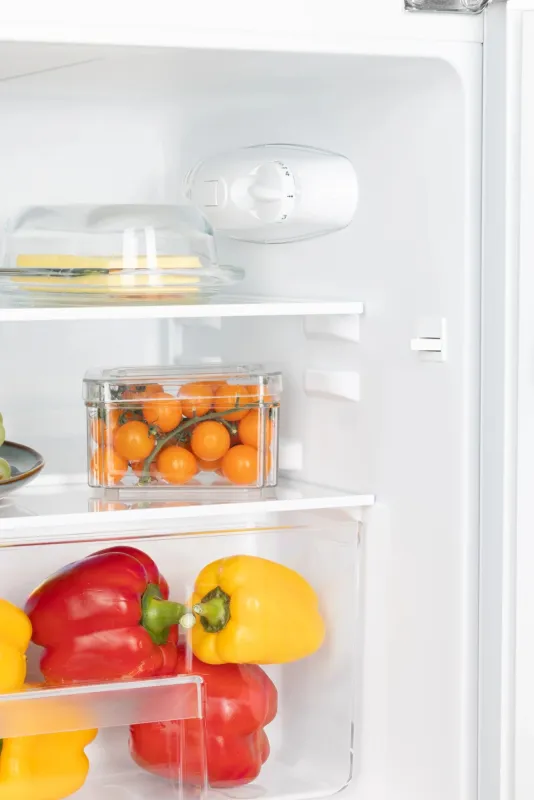 Холодильник Nord NT 90 W 2-хкамерн. белый