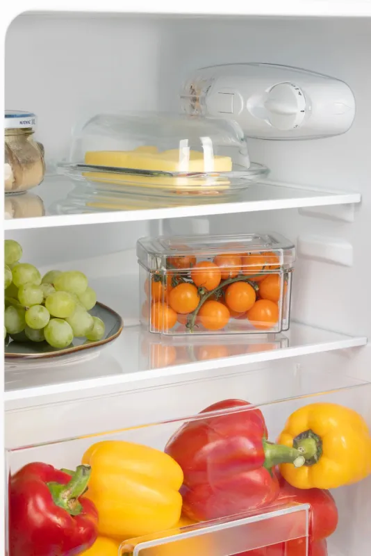 Холодильник Nord NT 90 W 2-хкамерн. белый