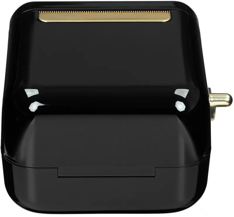 Термопринтер Niimbot B21S (1746727) 203dpi 60мм/с/USB/BT для печ.этик. черный