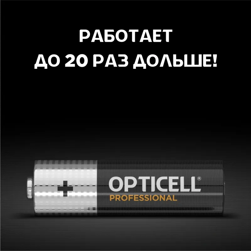 Батарея Opticell Professional LR6 AA (12шт) блистер