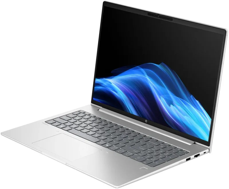 Ноутбук HP ProBook 4 G1a Ryzen 5 230 16Gb SSD256Gb AMD Radeon 16" FHD (1920x1200) Windows 11 Pro silver WiFi BT Cam (BM2S8UT)