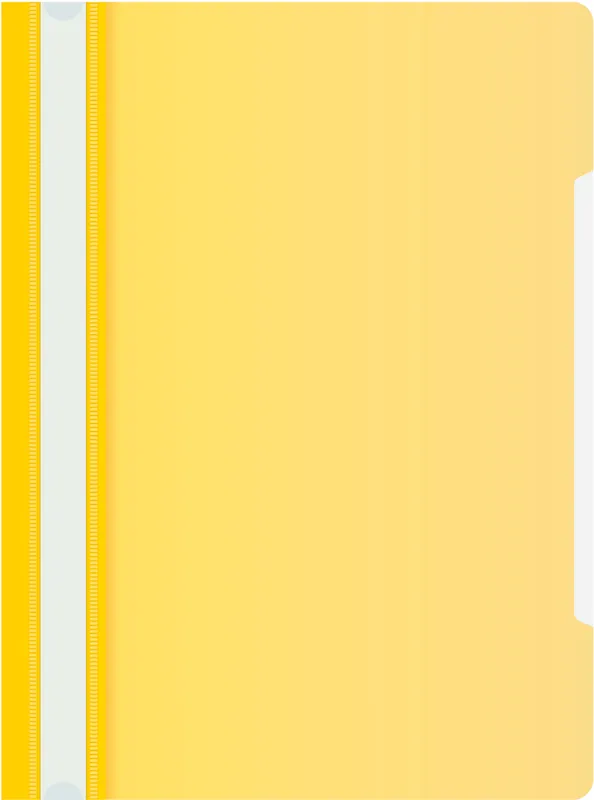 Папка-скоросшиватель Бюрократ Economy -PSE20/1 A4 прозрач.верх.лист пластик ассорти